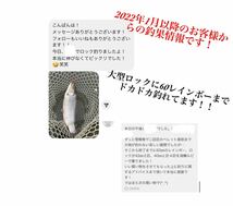 【大人気！！】管釣り　エリアトラウト【巻き直し不要】海鱒スパイラルPro4本セット　左右巻き_画像7