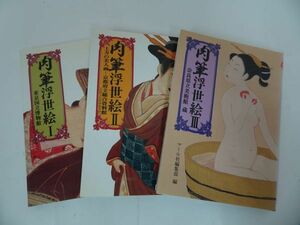 Art hand Auction ★Maru Publishing Editorial Department [Hand-painted Ukiyo-e I, II, III] 3-volume set 1994 and 1995, Painting, Art Book, Collection, Art Book