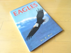  иностранная книга *.. фотоальбом книга@wasi Eagle 