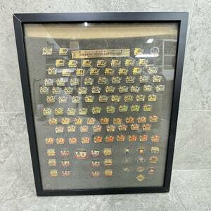 B254973(011)-124/NJ3000　ピンバッジ　2006　HOKKAIDO NIPPON-HAM FIGHTERS　Memorial Pin's Collection　日本ハムファイターズ