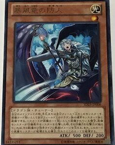 遊戯王 レア 効果モンスター 1枚 暴風竜の防人 SD25