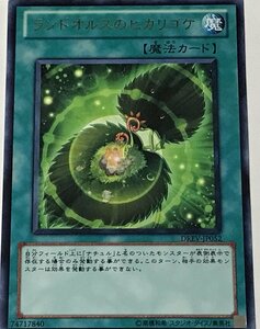 遊戯王 レア 魔法 1枚 ランドオルスのヒカリゴケ DREV