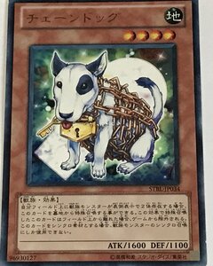 遊戯王 ジャンク レア 効果モンスター 1枚 チェーンドッグ STBL