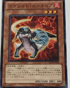 遊戯王 ジャンク レア 効果モンスター 1枚 エヴォルド・カシネリア ORCS