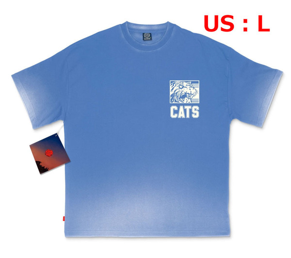 【新品・送料無料】L Foxtrot Uniform CatsFade-awayTee 青 タイガーダンクTシャツ KentuckyWildCatsケンタッキーワイルドキャッツ