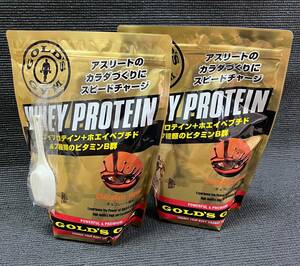 ゴールドジム【GOLD’S GYM】ホエイプロテイン【チョコレート風味】720 g ２袋セット