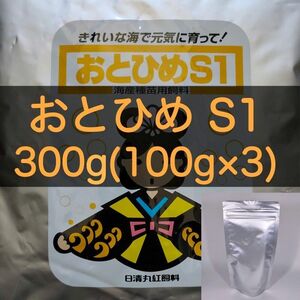 【送料無料】おとひめS1 300g(100g×3) メダカ グッピー カラシン 幼魚 金魚 らんちゅうの餌に(日清丸紅飼料)