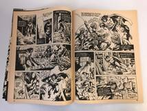 The Savage Sword of Conan the Barbarian 【コナン】(マーベル コミックス) Marvel Comics Vol. 1 No. 36 March 1978年 英語版 _画像6