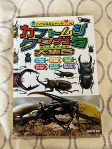 中古学習図鑑 カブトムシ&クワガタ大集合 飯島和彦 監修 こども写真ひゃっか