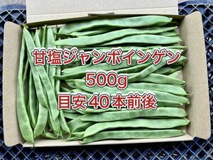 【鹿児島産】甘塩ジャンボインゲン箱込み500g^_^