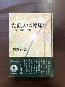 たましいの臨床学 夢・描画・体験 角野善宏 岩波書店