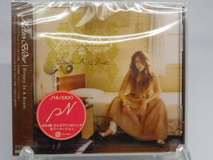 新品 CD　ケイトブロウ　KeitoBlow　　Beauty in a Beast (№M646) 