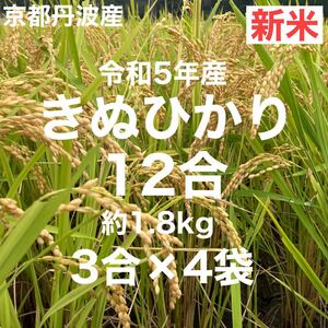 新米 12合(3合×4袋) 1.8Kg 京都丹波産キヌヒカリ 令和5年産 農家直送
