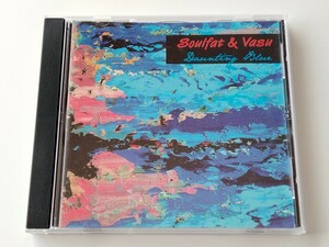 Soulfat & Vasu / Daunting Blue CD 2011年自主リリースCANADA盤,BLUES ROCK,FUNK,REGGAE,JAZZ,PROGRESSIVE,多国籍音楽,ソウルファット