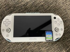 SONYPSVITA PCH-2000 本体＋みんなのGOLF6＋専用ケース付き