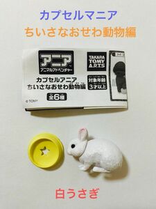 アニマルアドベンチャー☆カプセルアニア☆ちいさなおせわ動物編☆ウサギ(白)☆動かして遊べるギミック付き！☆ガチャ☆未使用品