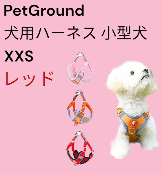 PetGround犬用ハーネス 小型犬 (XXS, レッド)