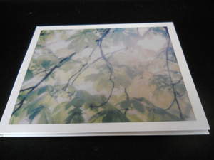 【ノイズ特集:IAN HAWGOOD】& WIL BOLTON/FLORAL FORMS AND SUBSEQUENT INTERACTIONS 