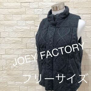 JOEY FACTORY レディース ベスト アウター トップス フリーサイズ　送料無料　即決