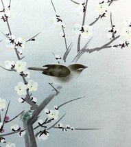 ［真作］小川香月 作「梅香清囀」絹本 花鳥図 鳥獣 日本画 絵画 日本美術 掛軸 Ｐ122013_画像8
