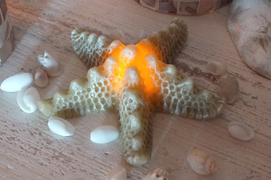 ヒトデ LED キャンドル STARFISH LED CANDLE　海を感じる蝋LEDキャンドル