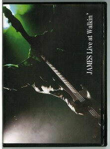 市川洋二 JAMES ソロDVD「JAMES Live at Walkin'」　　　ジェームス　ドラムは鈴木将雄 ZUZU　ストリート・スライダーズ　STREET SLIDERS