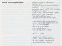 Steffen Schleiermacher - Asia Piano Avantgarde Indonesia;Paul Gutama Soegijo/Selamat Abdul Sjukur/Michael Asmara/Soe Tjen Marching_画像4