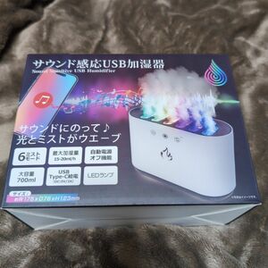 サウンド感応USB加湿器 サウンドシンクロ USB 6モード レインボー イルミネーション 加湿機 乾燥 大容量 タンク 