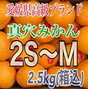 ⑥『常温便』愛媛県西宇和産 真穴みかん 2S〜Mサイズ 2.5kg 【箱込】 【真穴共選正規品】