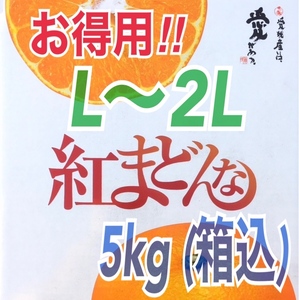 ②『常温便』お得用!! 愛媛県産 紅まどんな(JAえひめ中央)L〜2L 5kg (箱込) 緑◯品 （優品）