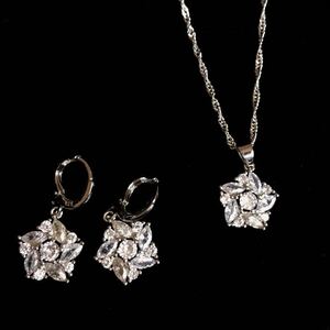 Новый AAA CZ Diamond Flower Peering Set Set Set White Gold Jewelry Set 925 Грейвированный бриллиант пирс Бесплатная доставка