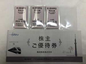 東武鉄道株式会社　株主優待乗車証（電車全線）30枚　+　株主ご優待券（冊子）