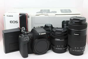【ほぼ新品級：完動品】Canon EOS Kiss X9i ダブルズームキット EOSKISSX9I-WKIT