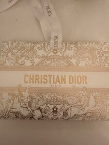 DIOR 紙袋