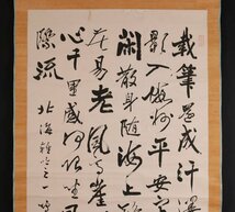 【模写】吉】10048 日下部鳴鶴 大幅 書 書家 呉昌碩らと交わる 中国画 滋賀県の人 掛軸 掛け軸 骨董品_画像3