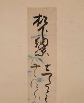 【模写】吉】9986 烏丸光広 和歌 烏丸光廣 徳川家光の歌道師範 公卿 歌人 古筆 書家 江戸時代 茶掛け 茶道具 掛軸 掛け軸 骨董品_画像5