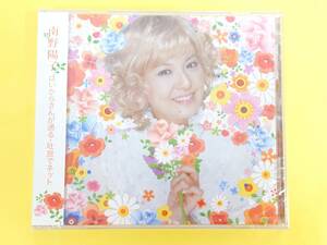 南野陽子 CD【はいからさんが通る・吐息でネット スケバン刑事メドレー】PCCA02178◆2005.7.27発売