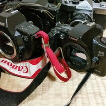 Canon MINOLTA Nikon sigma キャノン ニコン カメラ レンズ ジャンク まとめ 三脚 TOPCON トプコン_画像3