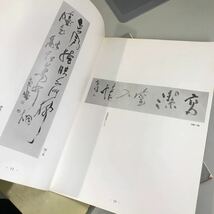 書道 関連本 4冊 セット●前崎南嶂個展図録 青藍社展図録 書家 筆 漢字 書道協会会長 ●7032_画像6