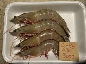 [ Wakayama production ] natural pair red sea .(4 pcs .300g) freezing G-4