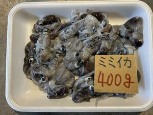 【和歌山産】　ミミイカ　（400ｇ）　刺身用　（冷凍在庫品）