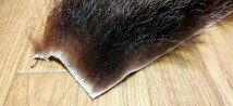 ●フライマテリアル●ヒグマの毛皮 端切れ（D16） 羆 熊 毛皮 / DIY　ハンドクラフト レザークラフト 毛鉤 毛針 フライ_画像5