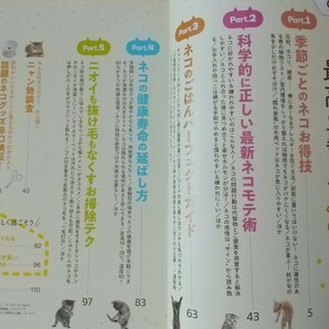 即決◆ネコお得技大全 LDK特別編集2021◆春夏秋冬お役立ち技集 ネコごはん お掃除テク ネコグッズ辛口批評 最高の裏ワザ233 の画像4