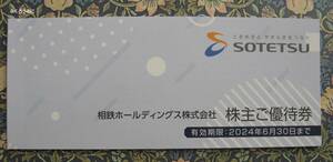 最新 / 相鉄 株主優待券 / 期限：2024年6月30日まで / 相鉄ホールディングス / 送料無料