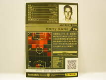 Panini WCCF 2015-2016 ENS-EXT ハリー・ケイン　Harry Kane 1993 England　Three Lions 15-16 Superstars Extra Card_画像5