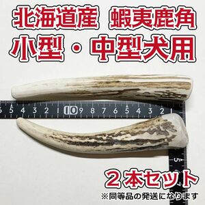 小型〜中型犬用　蝦夷鹿の角　2本セット　鹿の角　犬　シカ　ツノ