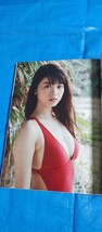 週刊プレイボーイ 2015/2/9号 no.6 釈由美子/馬場ふみか/高崎聖子/広瀬すず/小間千代/谷桃子/ぱいぱいでか美/犬童美乃梨/横山美雪/美竹すず_画像3