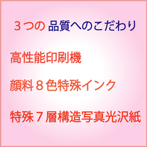 KRHM076 初音ミク vocaloid 高画質 高品質 A4 サイズ アート ポスター アニメ 美少女 セクシー 同人 巨乳 美尻 下着 フェチ_画像2