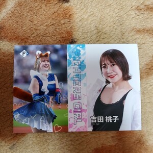 北海道日本ハムファイターズ　ファイターズガール吉田桃子　ミニフォトシークレット