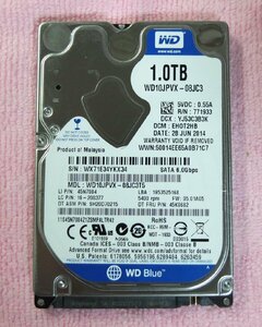 WD 2.5インチ HDD 1TB 使用時間1,355H